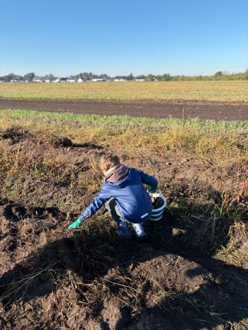 d8339fb6-6b7f-4633-969c-4306881786ac.jfif