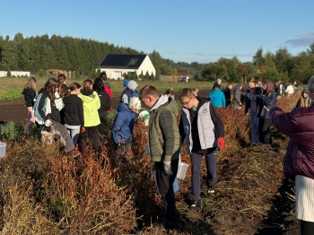 e12cd367-3b37-405e-ae63-3cc5faeb7cda.jfif