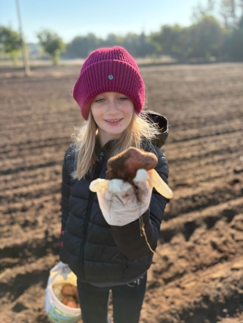 e683b110-089c-4380-9f24-fdef16fb2f8c.jfif