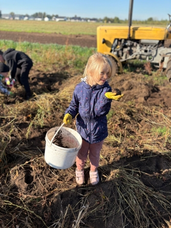 ee3bb369-7765-4492-81b2-17b46cf06879.jfif