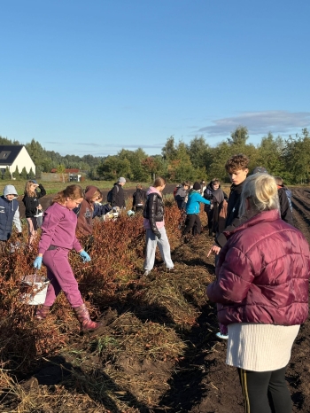 eef17eb5-9291-4377-97d3-b7fceba6e158.jfif