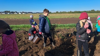 f6146361-622a-422f-b6aa-8394fa590ed6.jfif