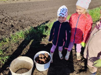 3b1470d5-3366-44bf-84cf-61edcd65b820.jfif