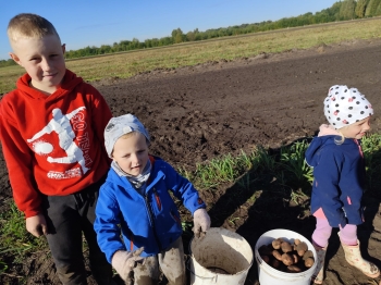 25ee9d54-d38e-4afd-a81a-7d7fa8848aee.jfif