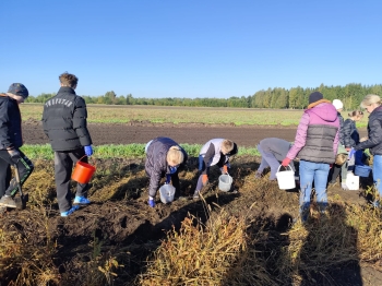 3f883635-52a7-4e9c-86c8-94639c9159c2.jfif