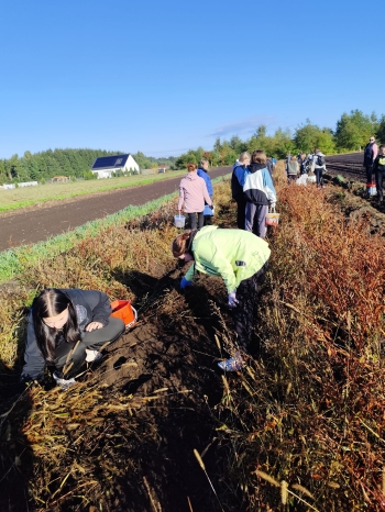 75cf1a47-07da-4f78-aaaa-18a8fd38c7d9.jfif