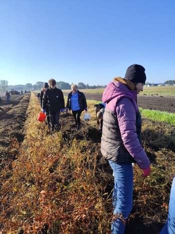 78d4db6b-7b37-497f-936a-0bd1e546e304.jfif