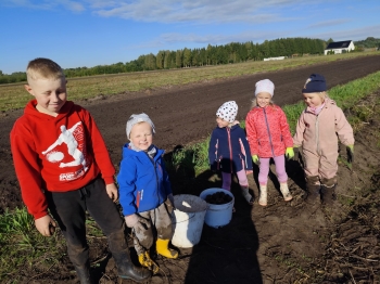 2331472c-1bf7-4b15-9fe6-907581608f8d.jfif