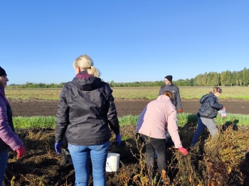 daae78c7-29c1-4d36-9535-5cacebfd145a.jfif