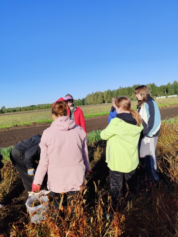 db03668a-a969-4c34-b67b-860399a92438.jfif