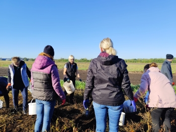 e869b526-ec2e-491a-8ee0-2a9625806655.jfif