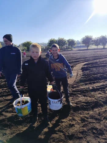 ff26b203-9b77-429b-af71-0fc6bab63b63.jfif