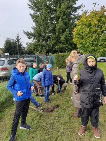 09de7350-e583-499e-867a-8728d8d5c981.jfif