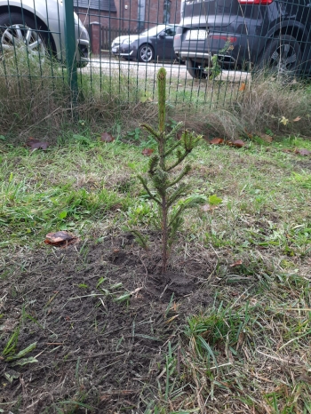 6cd311d9-6b2a-4af4-b05d-a519773cecd8.jfif