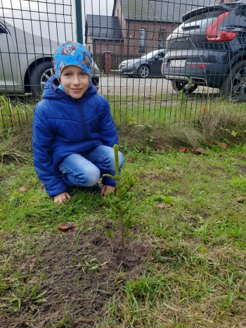 62be3677-fcbf-4b94-9268-96f8563def29.jfif