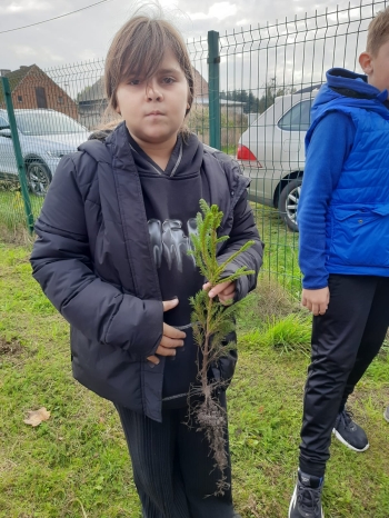 620cdb0e-4737-4622-8b68-6739ed62c819.jfif