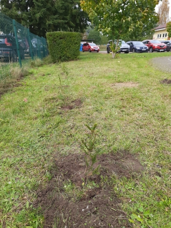 a69c8751-bd68-41ff-9aee-be36bf0d2aa5.jfif