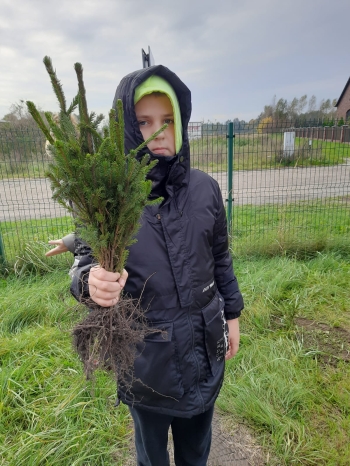 af266555-26e8-4d32-9c01-c8288c92b590.jfif