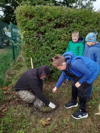 c8a520e4-bd9f-419d-96eb-9e5bb8d7a22a.jfif