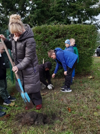 de63dd75-1d46-4aff-9c0f-3a5b868f5735.jfif