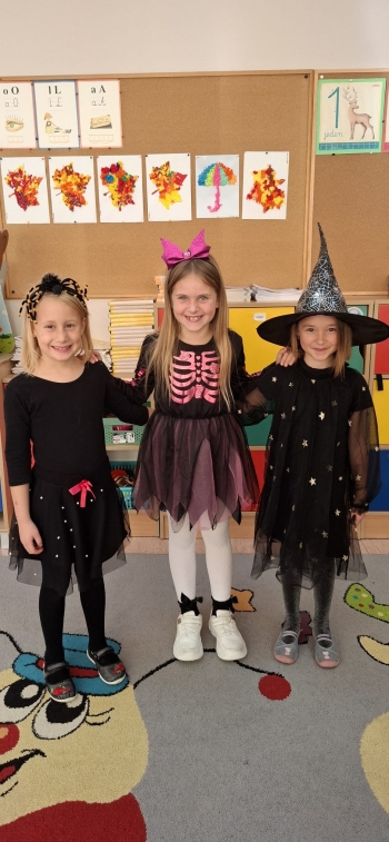 2be62c19-9d9e-4bbb-a07d-470bac9f4fd3.jfif