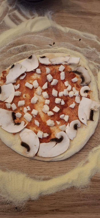 e6525252-df1b-42eb-8350-a266469861a0.jfif