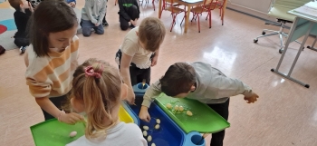 38e5748c-3148-42f2-93db-c0e5d8dc4eaf.jfif