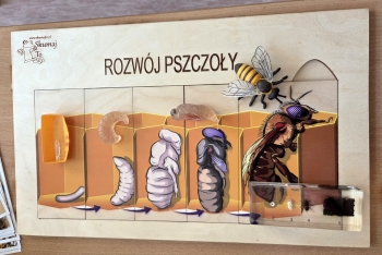 20260612_081509