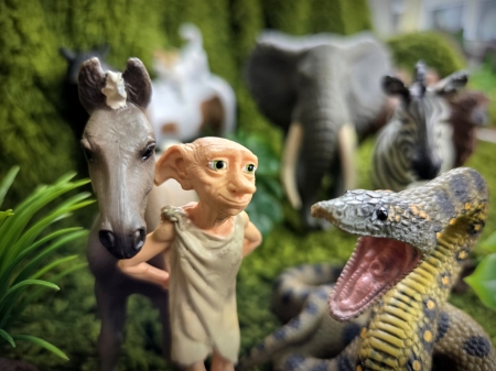 Bajka o Krainie Tęczy