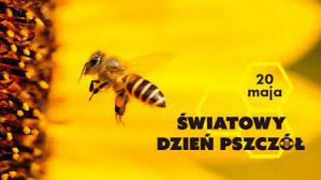 Światowy Dzień Pszczół